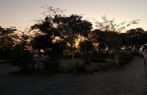 Satara Rest Camp - Queue to leave at 6am