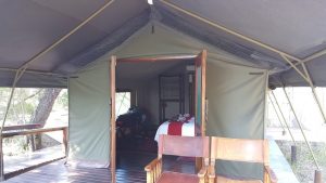 Simbavati River Lodge - Tented Room